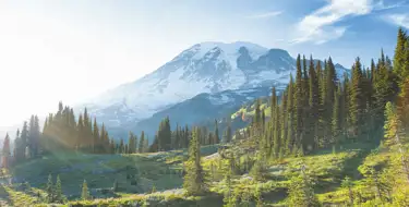 Image of green meadow surrounded by trees with snow-capped mountain in distance