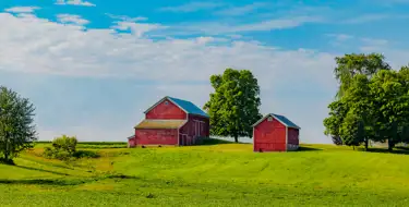 Image of two red barns in a meadow surrounded by trees and blue sky