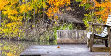 Image of bench on dock on a lake with trees in the background